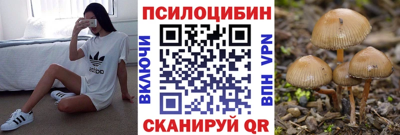Псилоцибиновые грибы Psilocybine cubensis Ладушкин